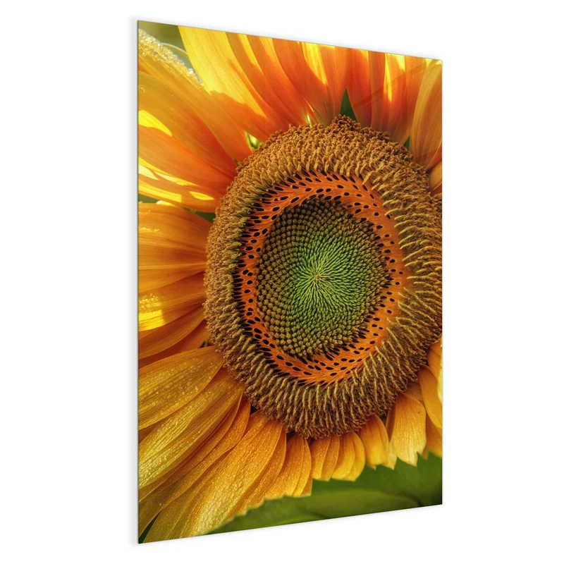 Magnettafel - Sonnenblume mit Tau