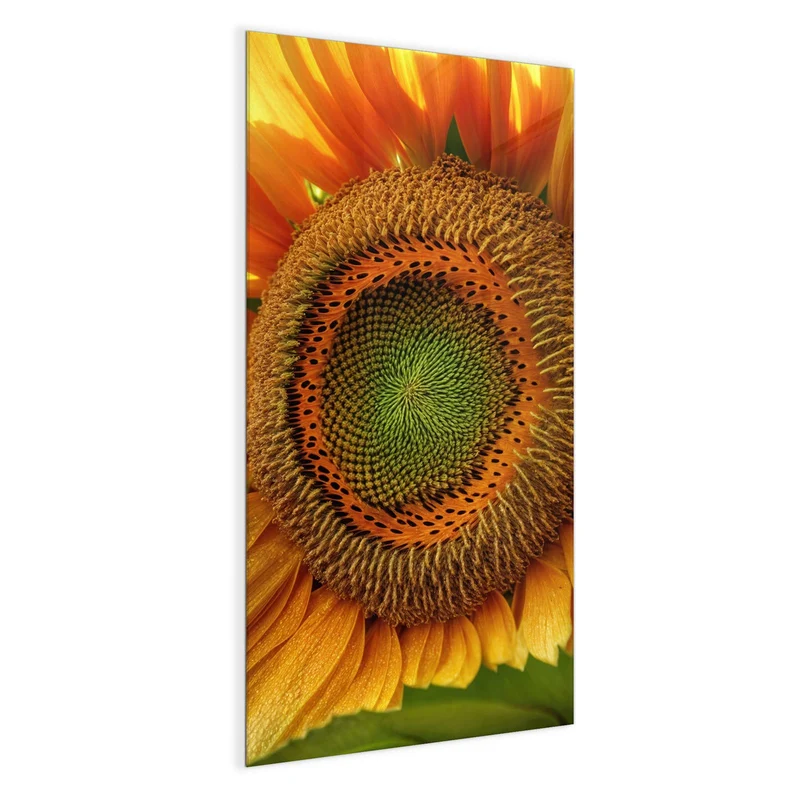 Magnettafel - Sonnenblume mit Tau