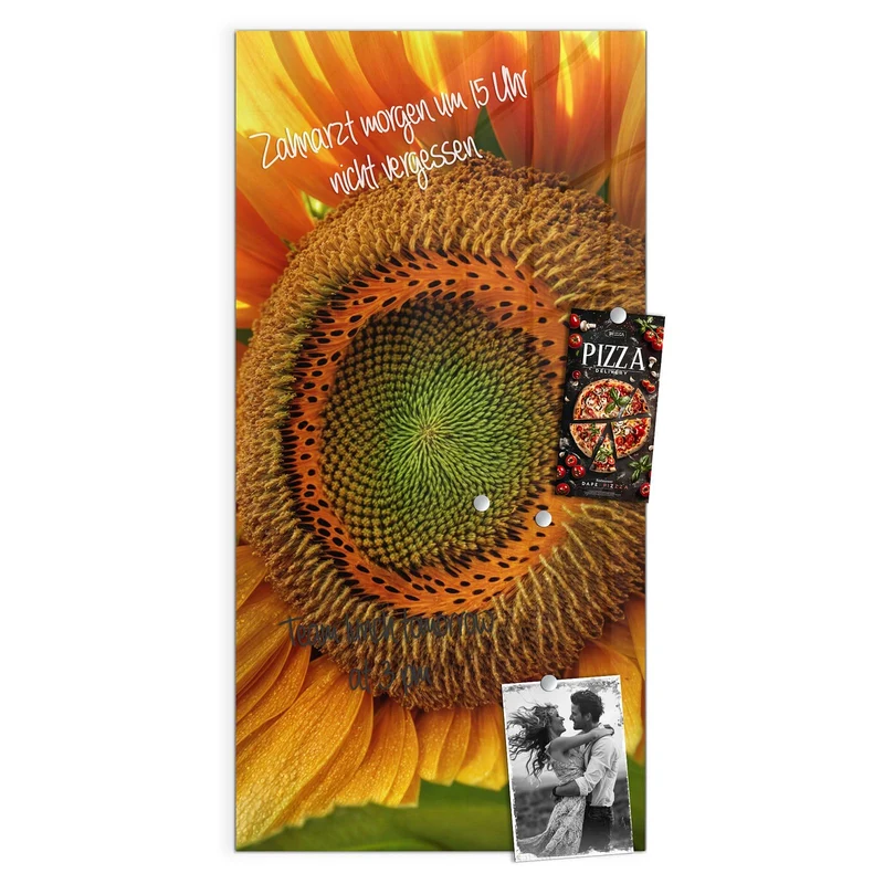 Magnettafel - Sonnenblume mit Tau