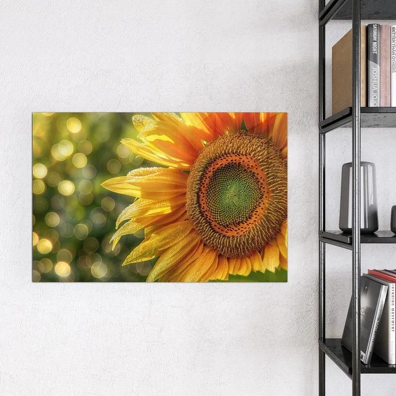 Magnettafel - Sonnenblume mit Tau