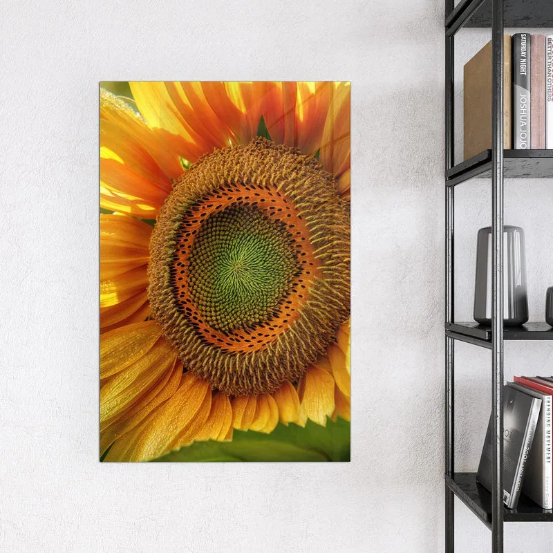 Magnettafel - Sonnenblume mit Tau