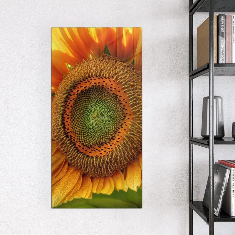 Magnettafel - Sonnenblume mit Tau