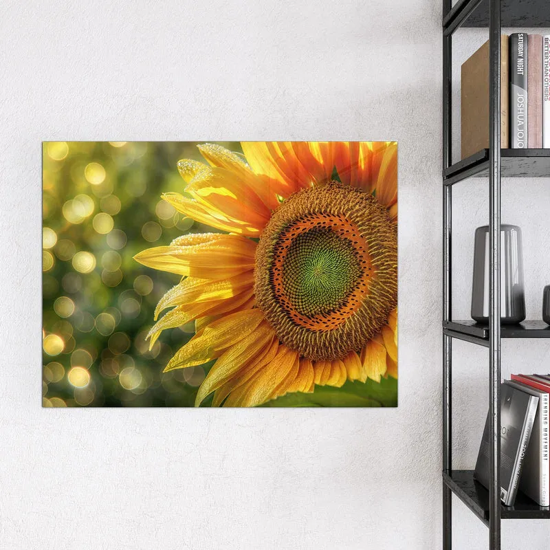 Magnettafel - Sonnenblume mit Tau