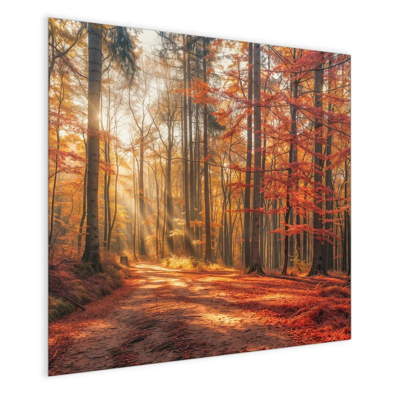 Magnettafel - Waldweg im Herbstlicht