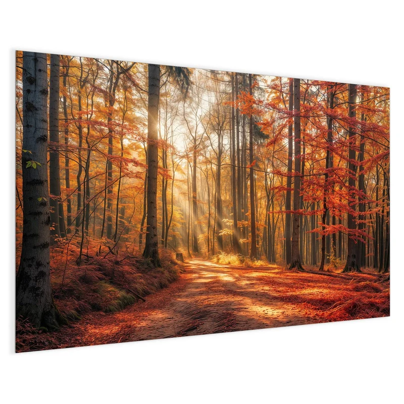 Magnettafel - Waldweg im Herbstlicht