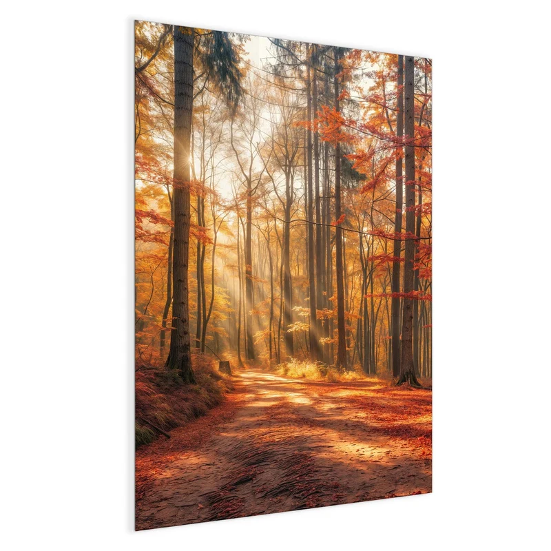 Magnettafel - Waldweg im Herbstlicht