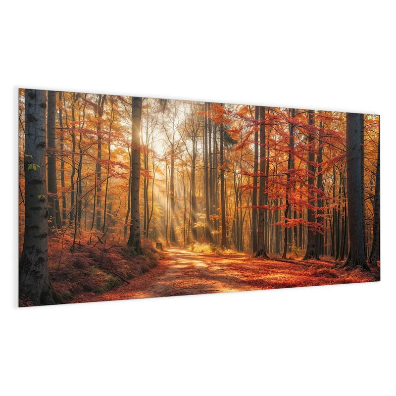 Magnettafel - Waldweg im Herbstlicht