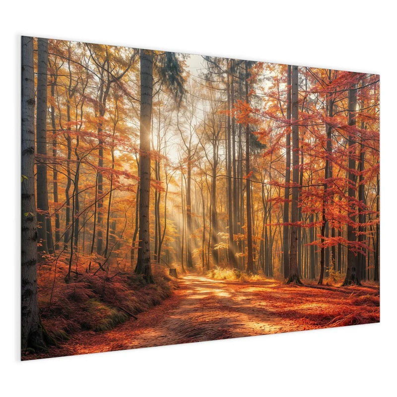 Magnettafel - Waldweg im Herbstlicht