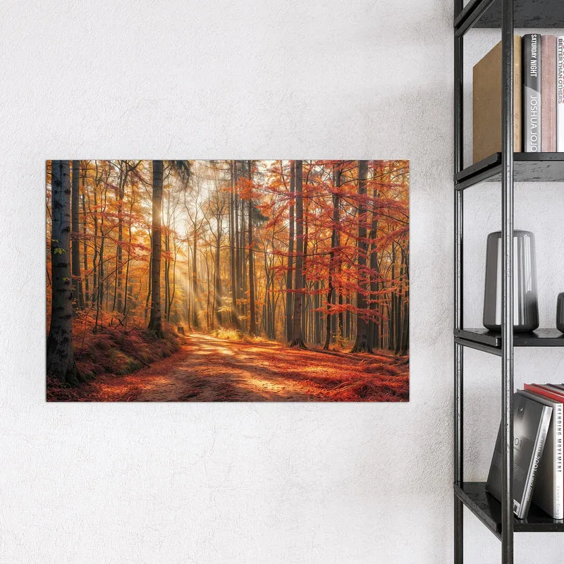 Magnettafel - Waldweg im Herbstlicht