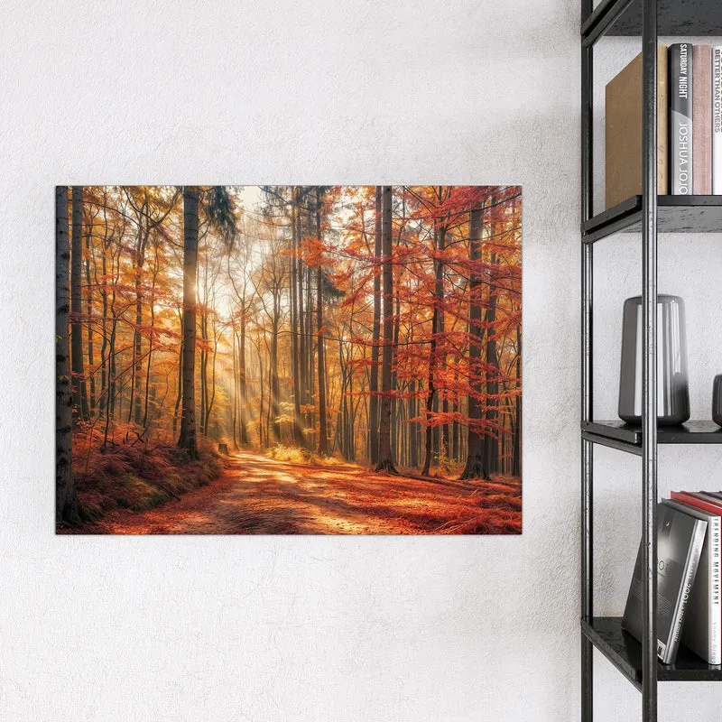 Magnettafel - Waldweg im Herbstlicht