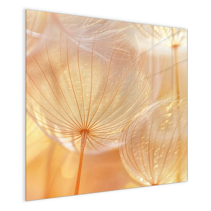 Magnettafel - Pusteblume im Goldlicht
