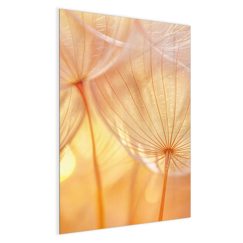 Magnettafel - Pusteblume im Goldlicht