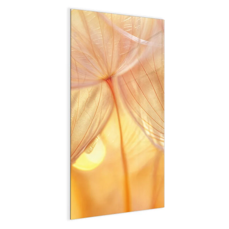 Magnettafel - Pusteblume im Goldlicht