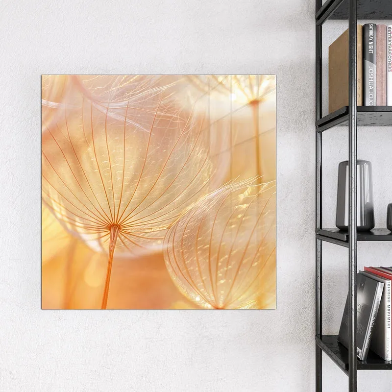 Magnettafel - Pusteblume im Goldlicht