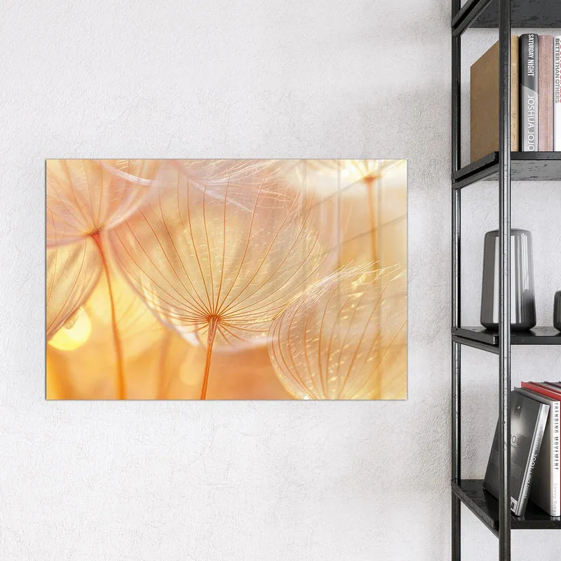 Magnettafel - Pusteblume im Goldlicht