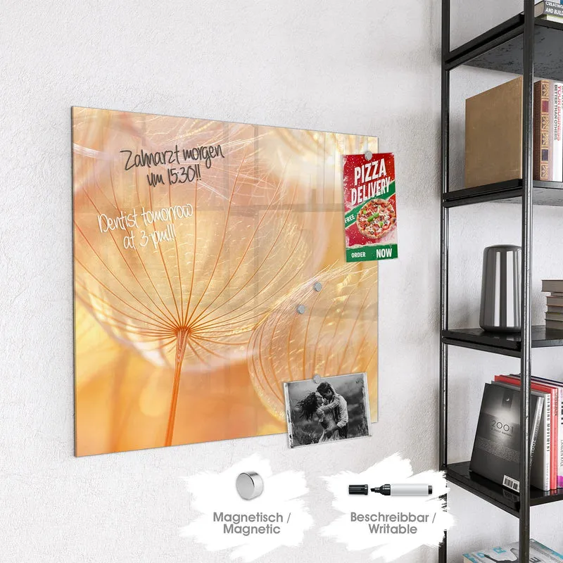 Magnettafel - Pusteblume im Goldlicht
