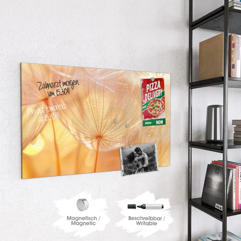 Magnettafel - Pusteblume im Goldlicht