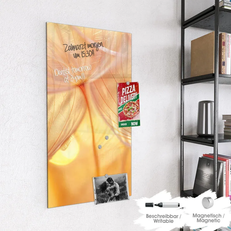 Magnettafel - Pusteblume im Goldlicht