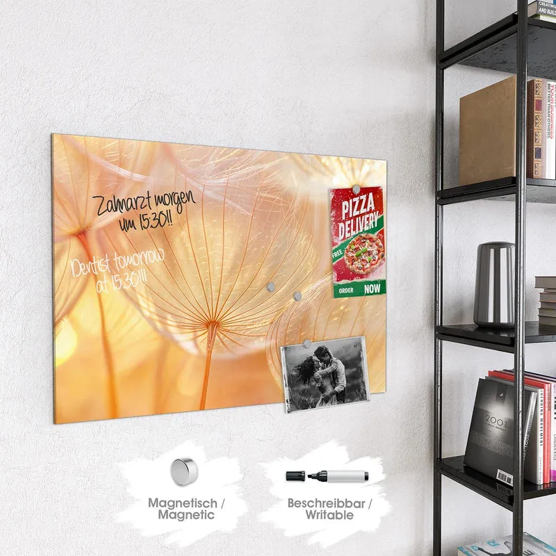 Magnettafel - Pusteblume im Goldlicht