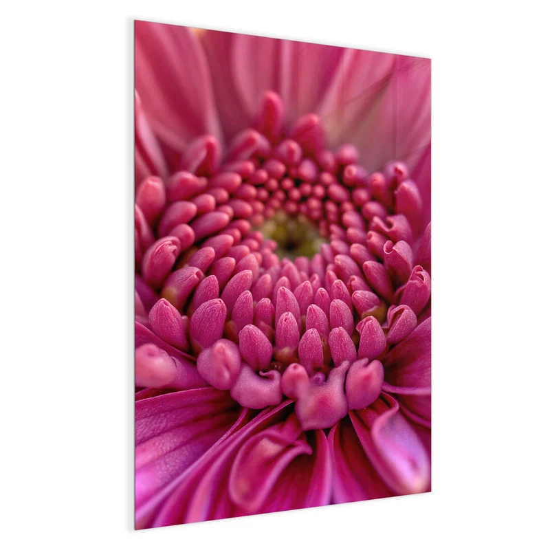 Magnettafel - Pinke Blütenspirale