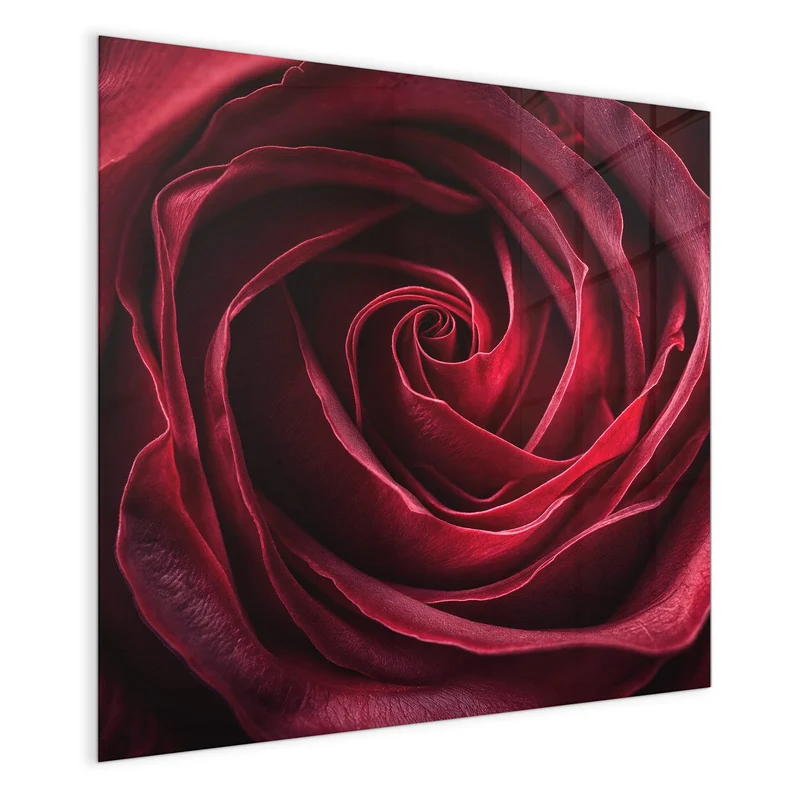 Magnettafel - Tiefrote Rosenblüte
