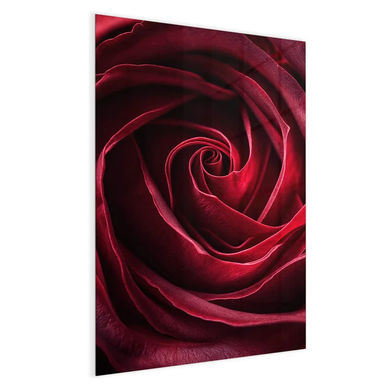 Magnettafel - Tiefrote Rosenblüte