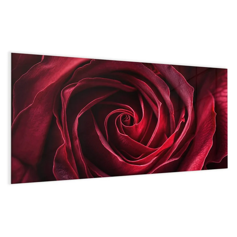 Magnettafel - Tiefrote Rosenblüte