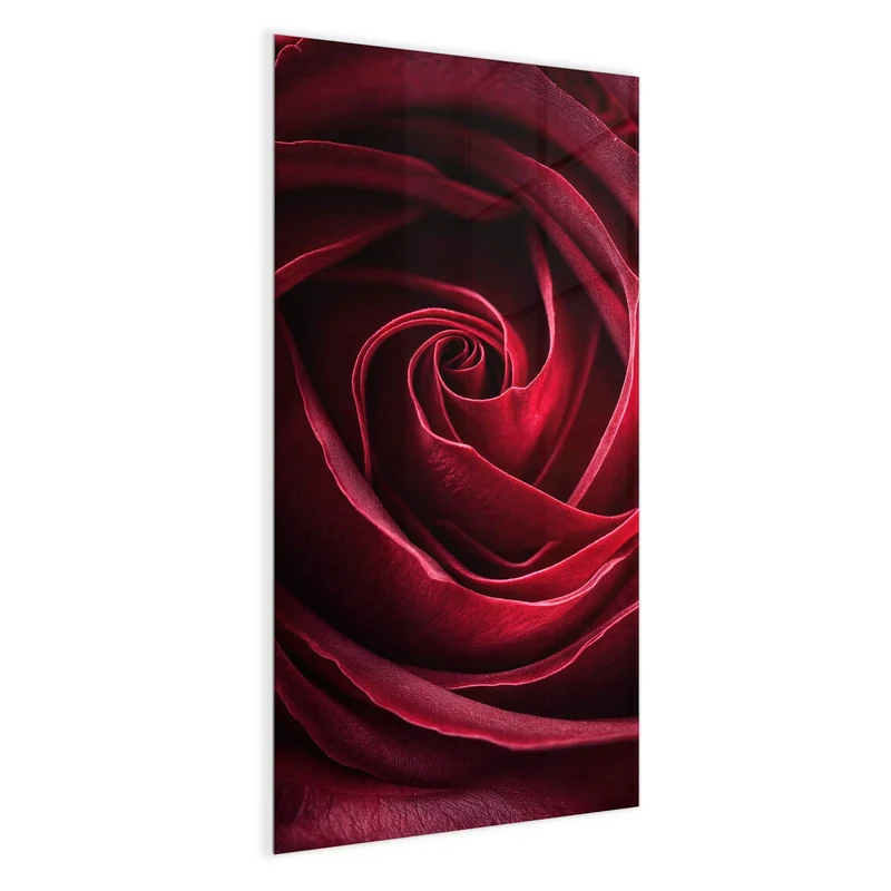 Magnettafel - Tiefrote Rosenblüte