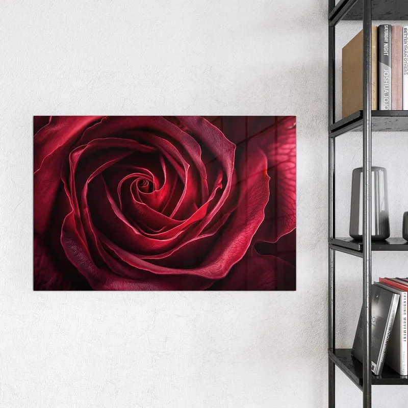 Magnettafel - Tiefrote Rosenblüte