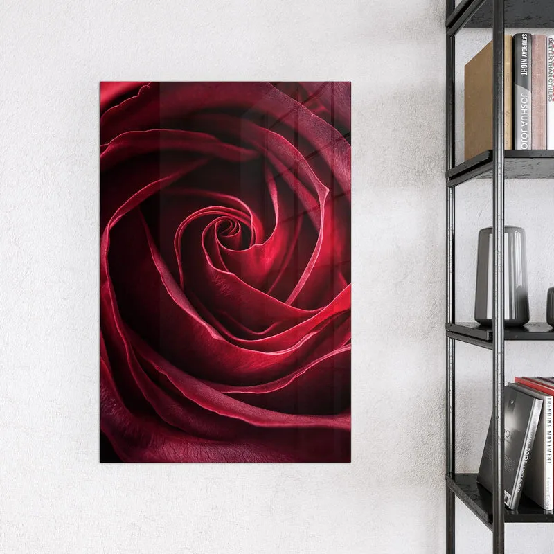 Magnettafel - Tiefrote Rosenblüte