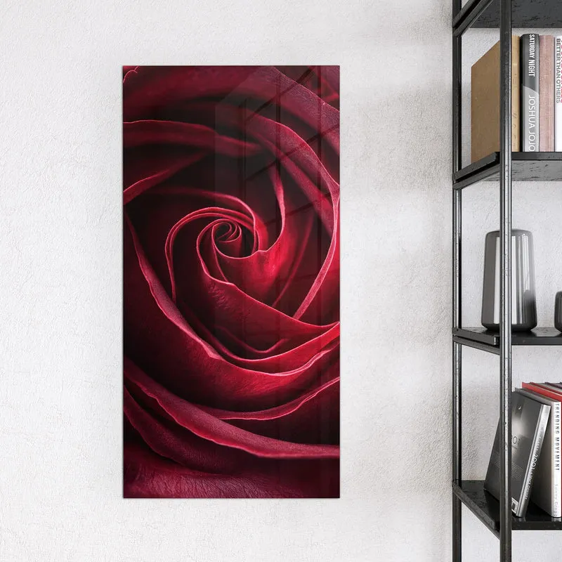 Magnettafel - Tiefrote Rosenblüte