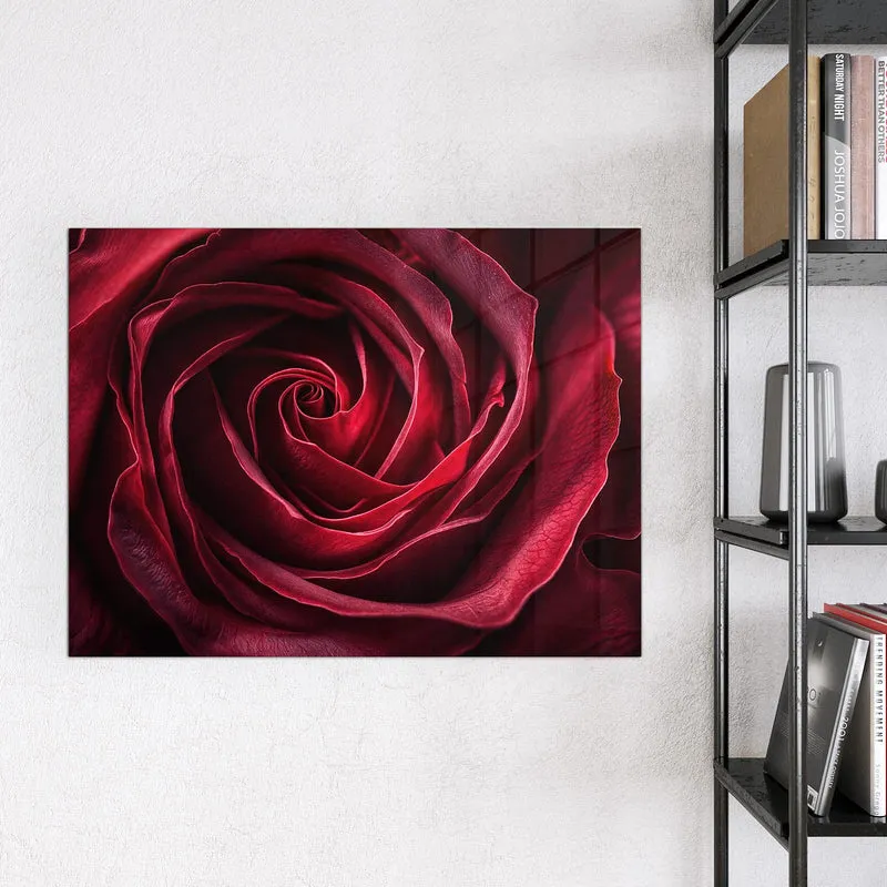 Magnettafel - Tiefrote Rosenblüte