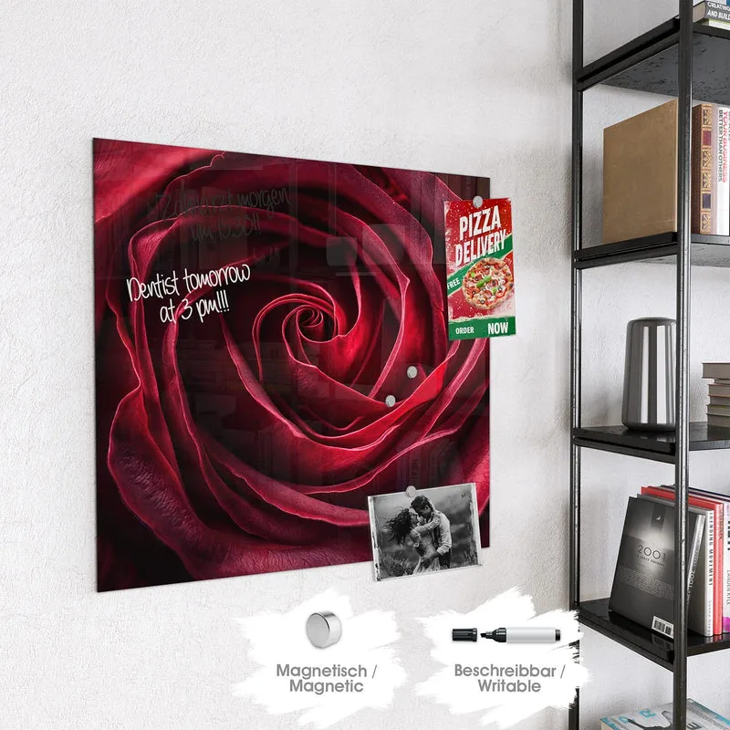 Magnettafel - Tiefrote Rosenblüte