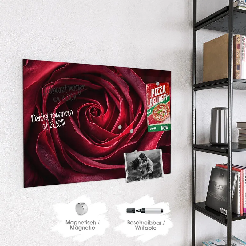 Magnettafel - Tiefrote Rosenblüte