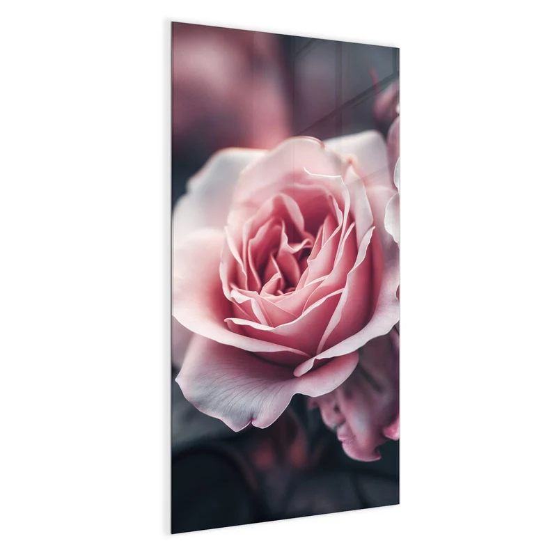 Magnettafel - Rosenblüten Duo