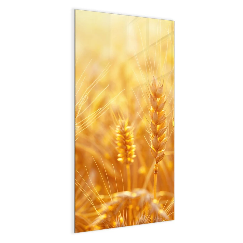 Magnettafel - Weizen im Gegenlicht