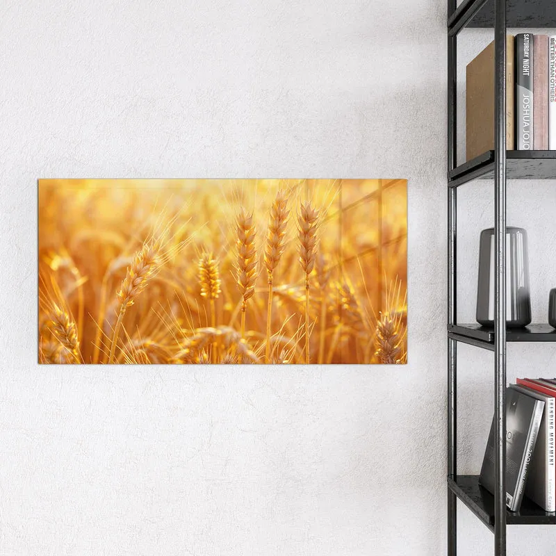 Magnettafel - Weizen im Gegenlicht