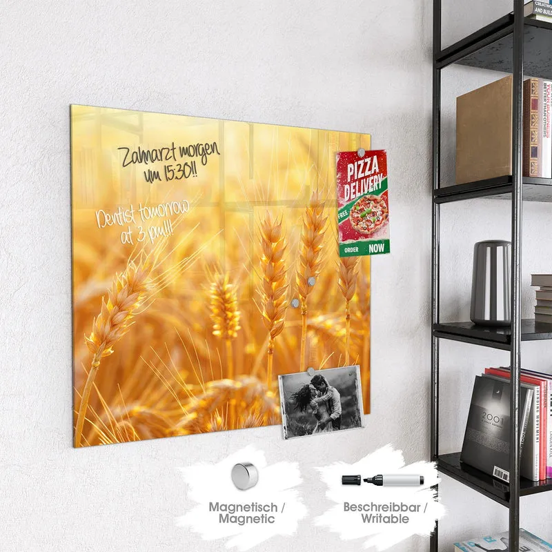 Magnettafel - Weizen im Gegenlicht