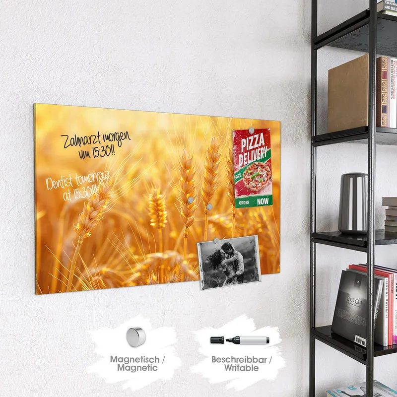 Magnettafel - Weizen im Gegenlicht