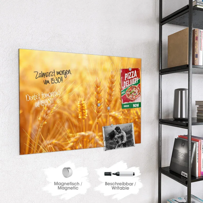Magnettafel - Weizen im Gegenlicht
