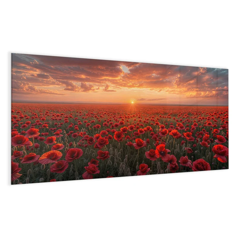 Magnettafel - Mohnfeld im Abendrot