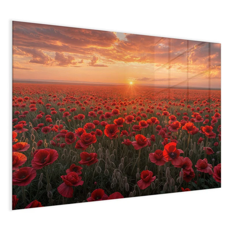 Magnettafel - Mohnfeld im Abendrot