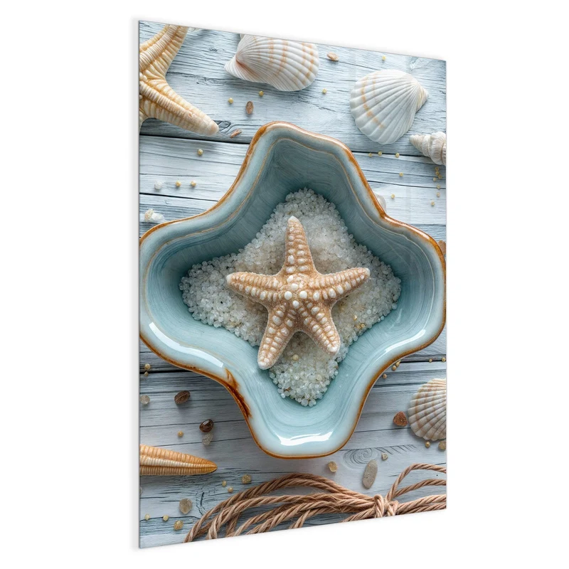 Magnettafel - Seesterne und Muscheln