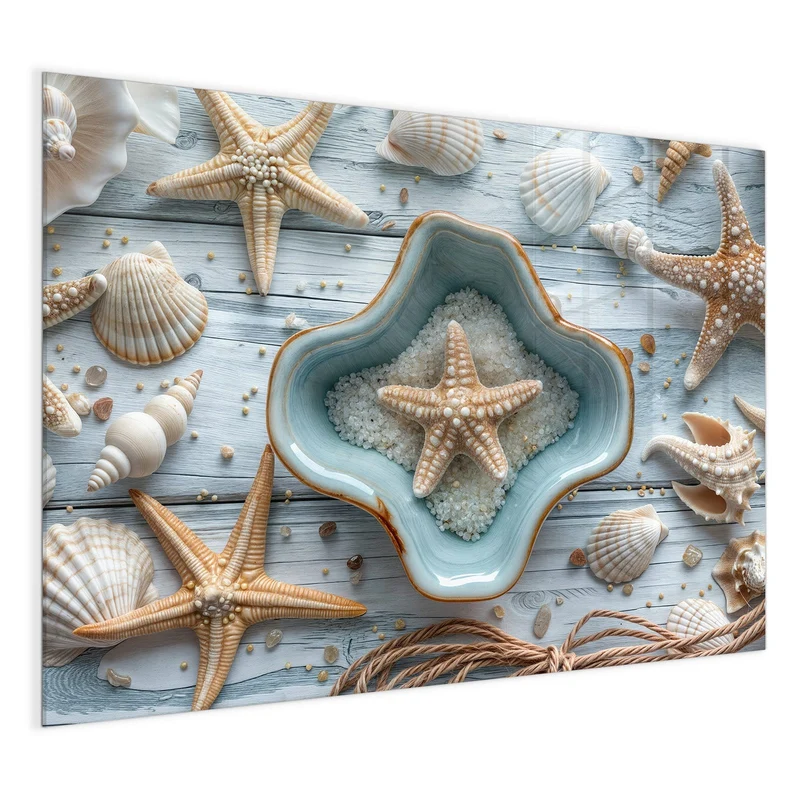 Magnettafel - Seesterne und Muscheln