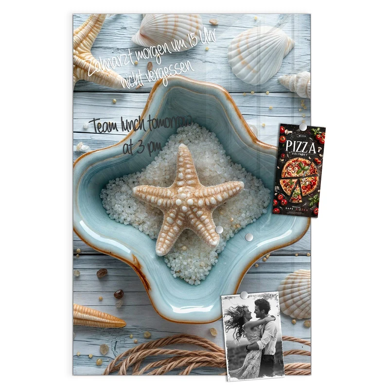 Magnettafel - Seesterne und Muscheln