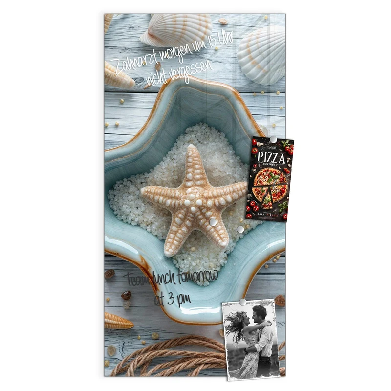 Magnettafel - Seesterne und Muscheln
