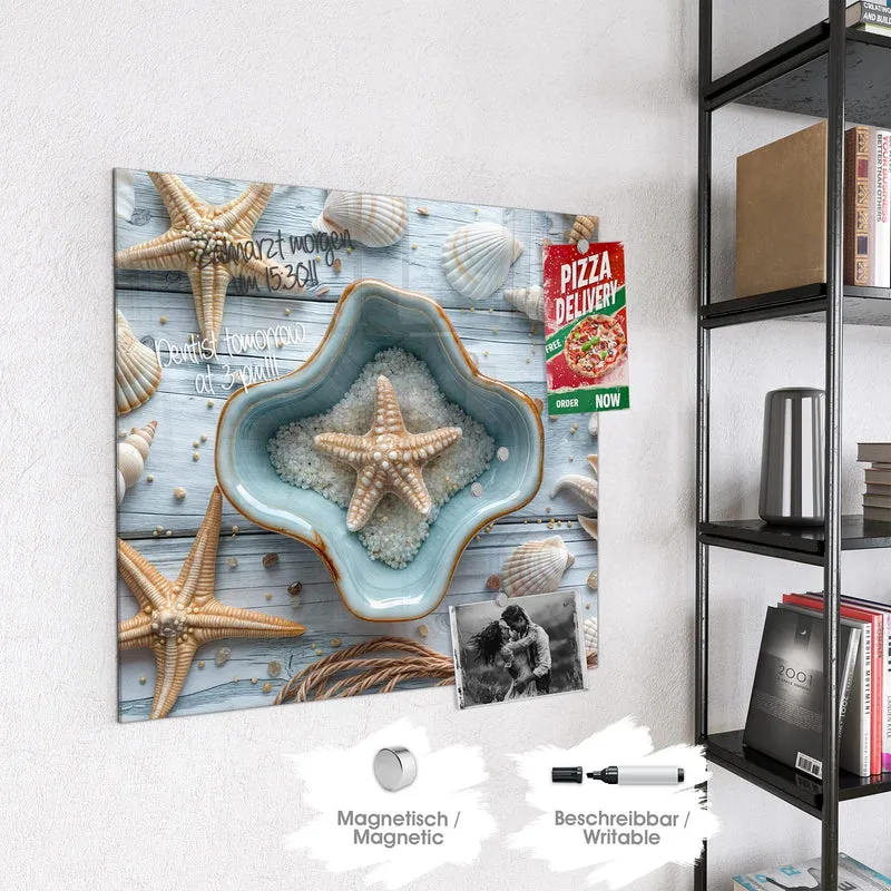 Magnettafel - Seesterne und Muscheln
