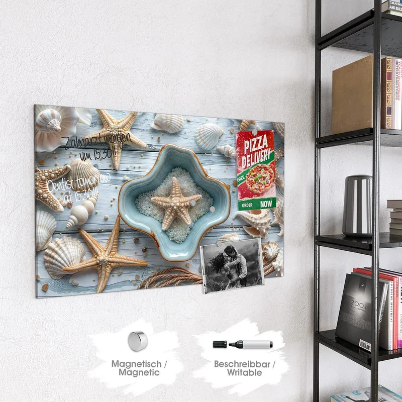 Magnettafel - Seesterne und Muscheln
