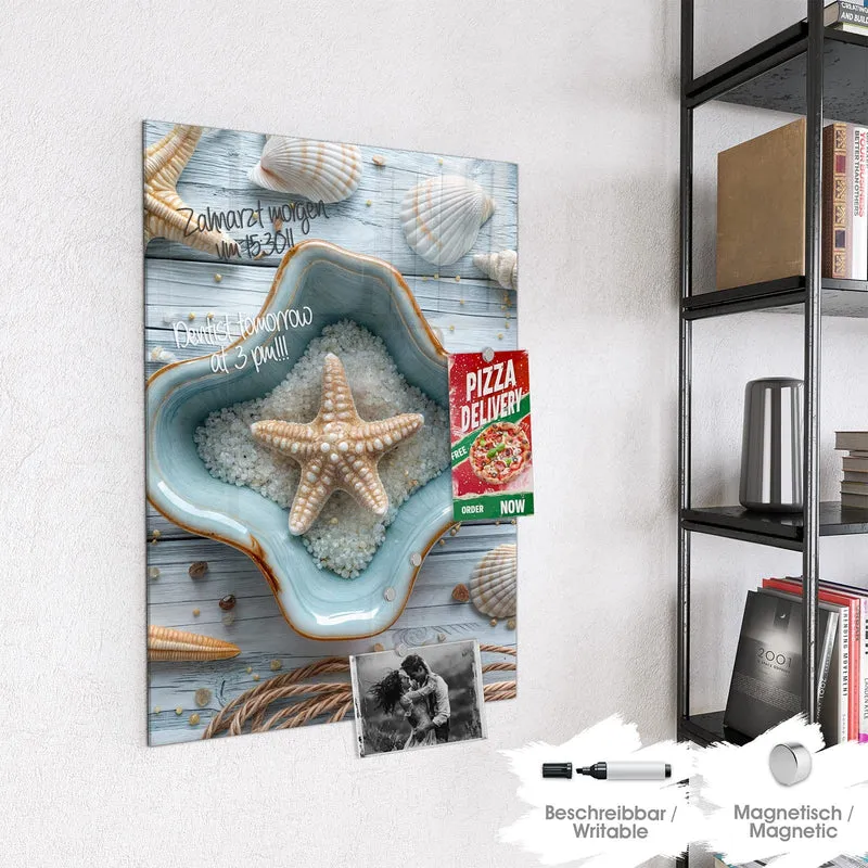 Magnettafel - Seesterne und Muscheln