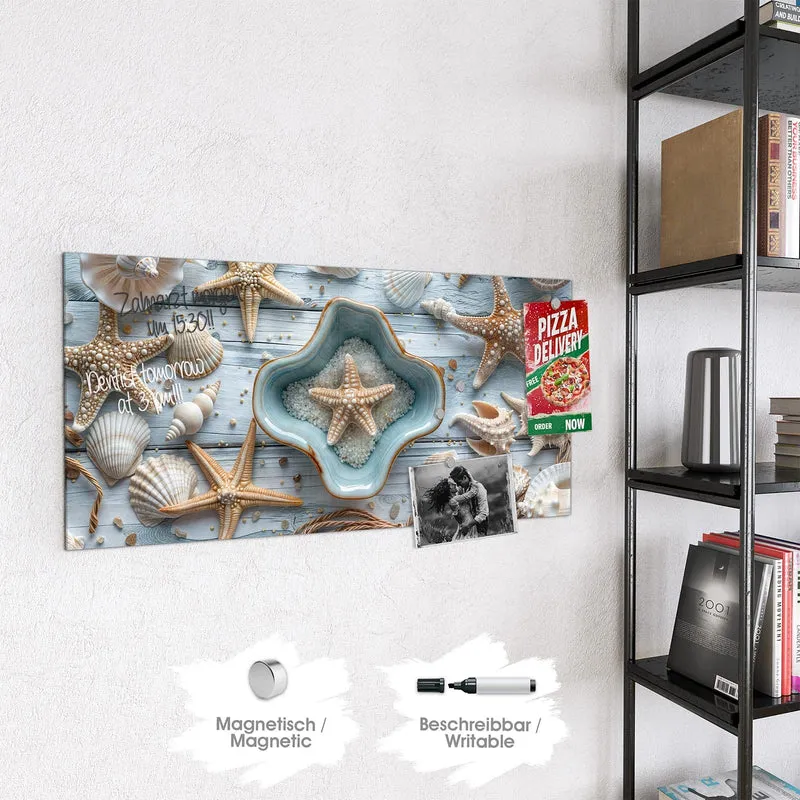 Magnettafel - Seesterne und Muscheln